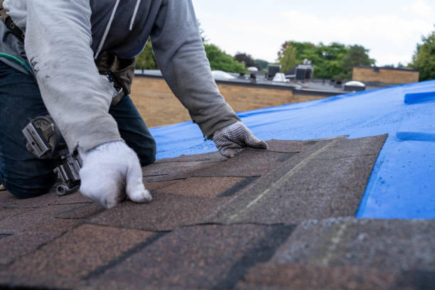 Best Roof Waterproofing  in Biddeford, ME